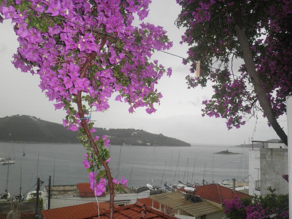 Hotel Babis Città di Skiathos Esterno foto