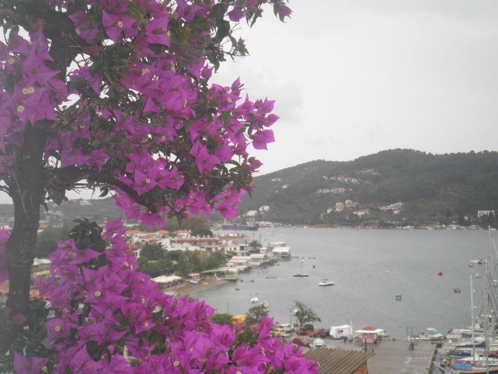 Hotel Babis Città di Skiathos Esterno foto